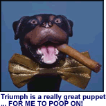 The Insult Comic Dog