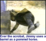 Jimmy the acrobat