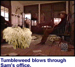 Tumbleweed