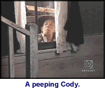 Peeping Cody