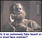 Crandall's Fake Beard